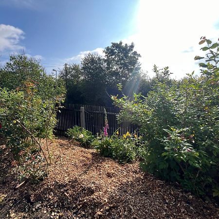 Tolles Ferienhaus Frohnatur Mit Sauna In Ruhiger Lage Plauen Exterior foto